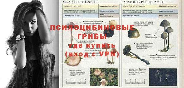 альфа пвп Надым
