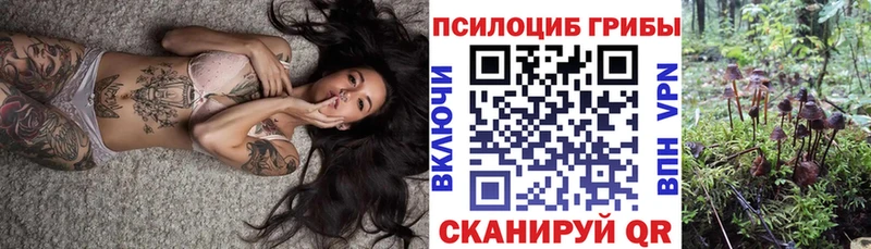 Галлюциногенные грибы мицелий  где продают наркотики  Питкяранта 